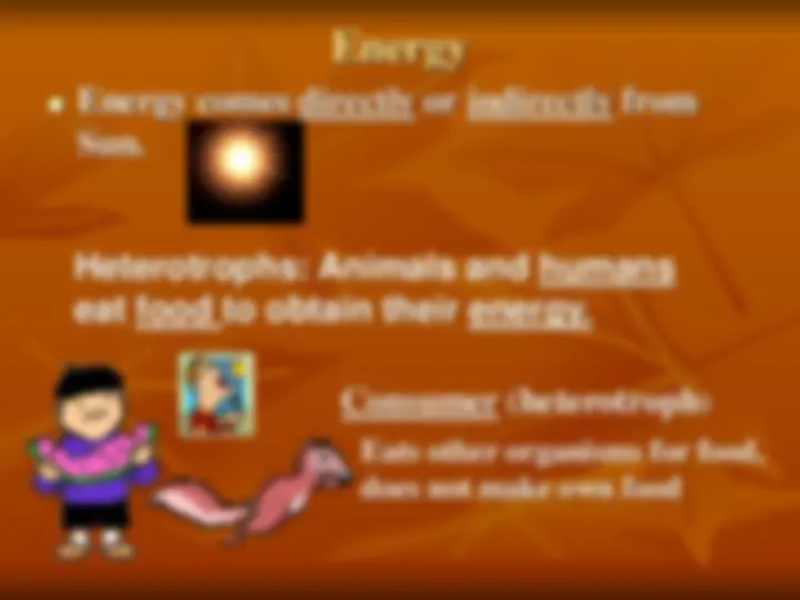 pf1d