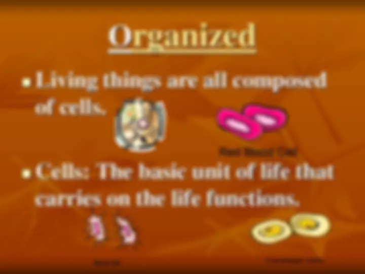 pff