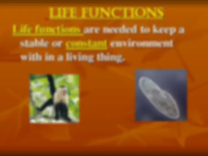 pf2d