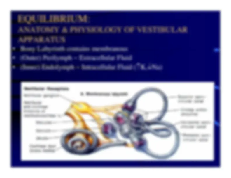 pf12
