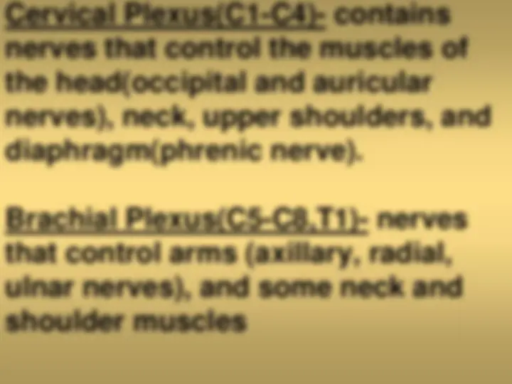 pf53