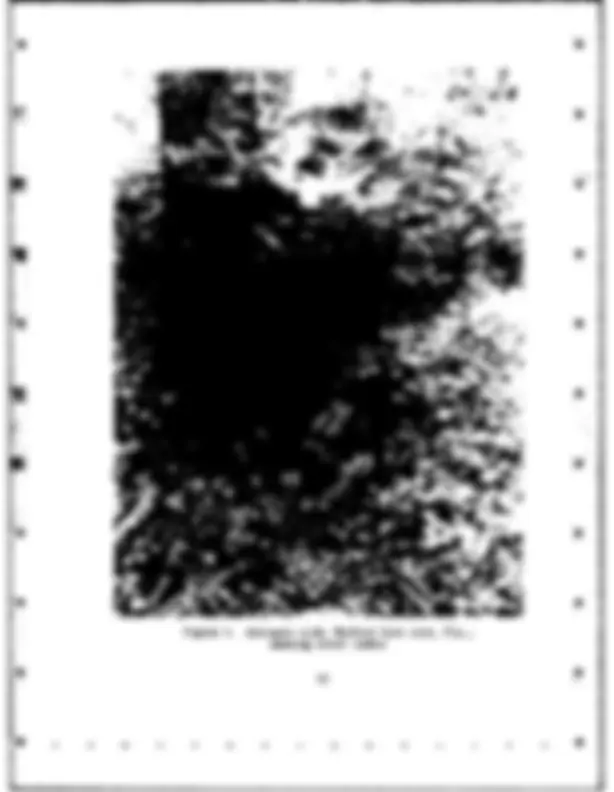pf12