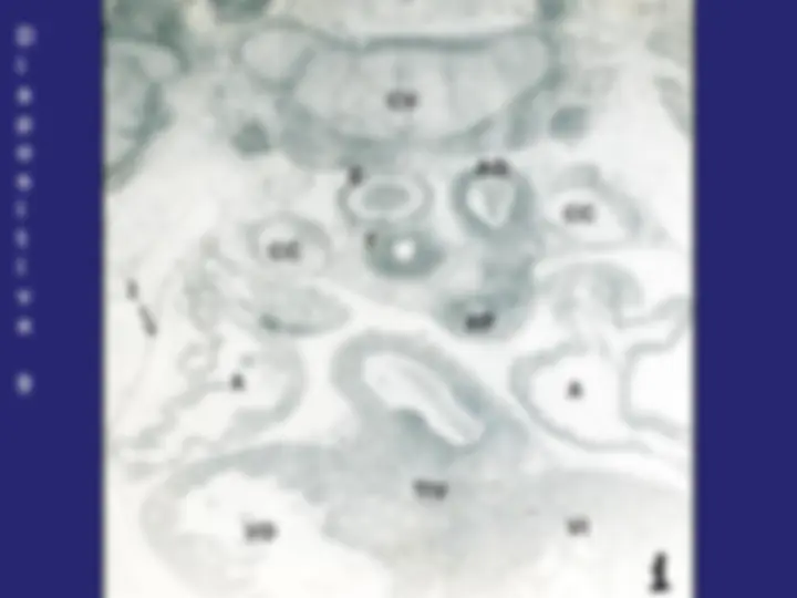 pfa