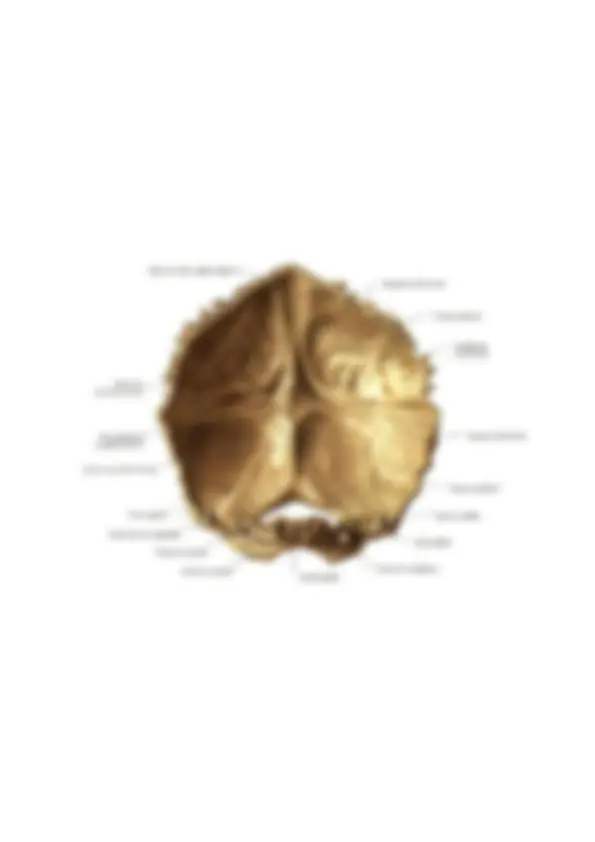 pfa