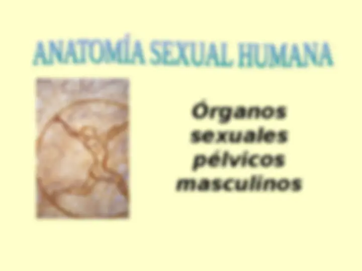pfa