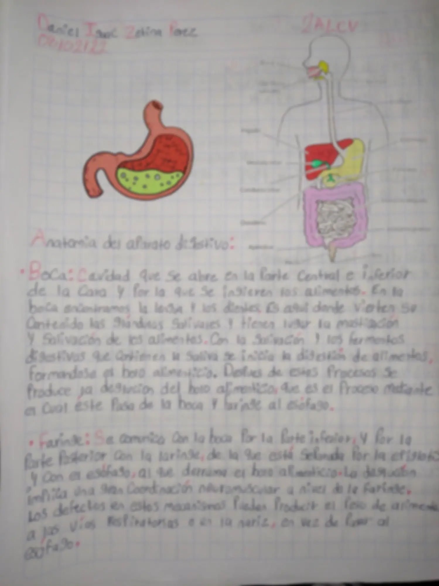 pf3