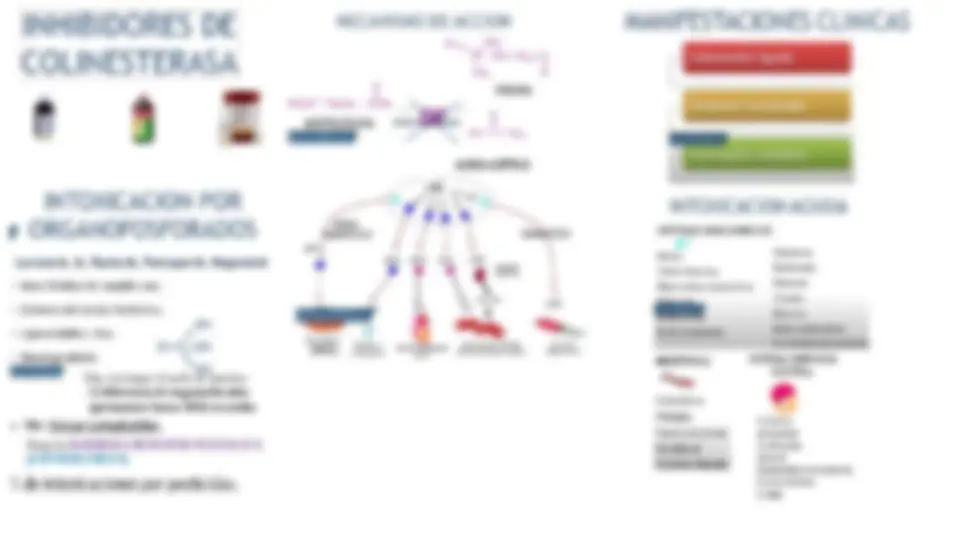 Efectos de los Pesticidas en la Salud Humana: Una Clasificación por ...