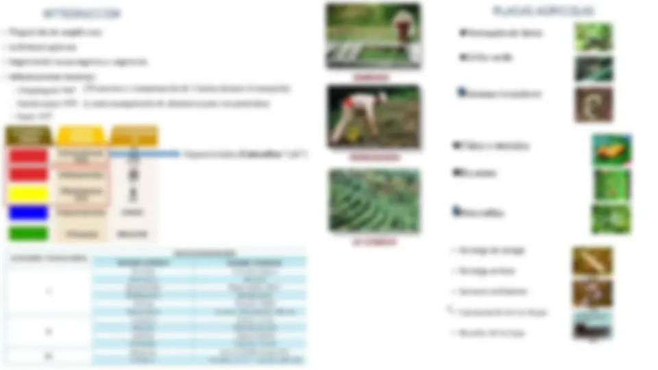 Efectos de los Pesticidas en la Salud Humana: Una Clasificación por ...