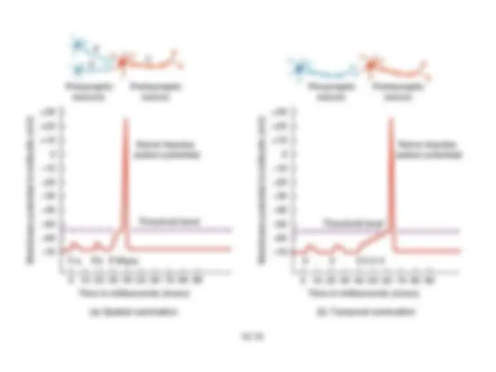 pf5e