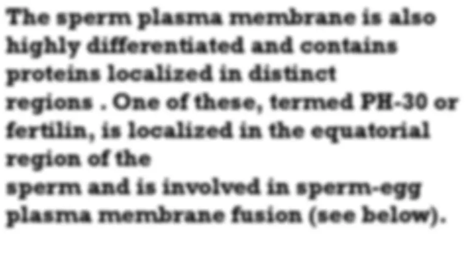 pf1b