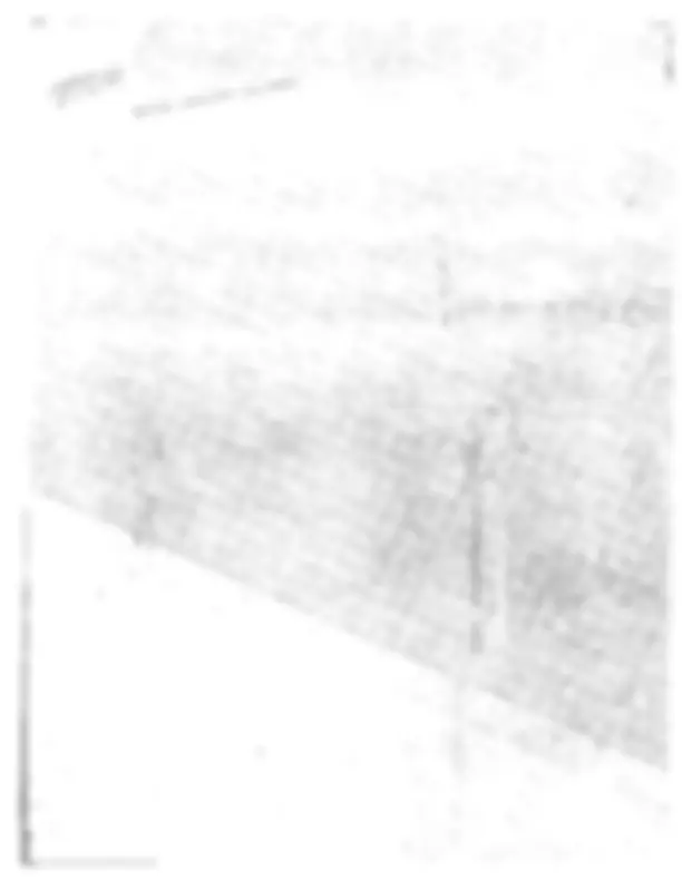 pf46