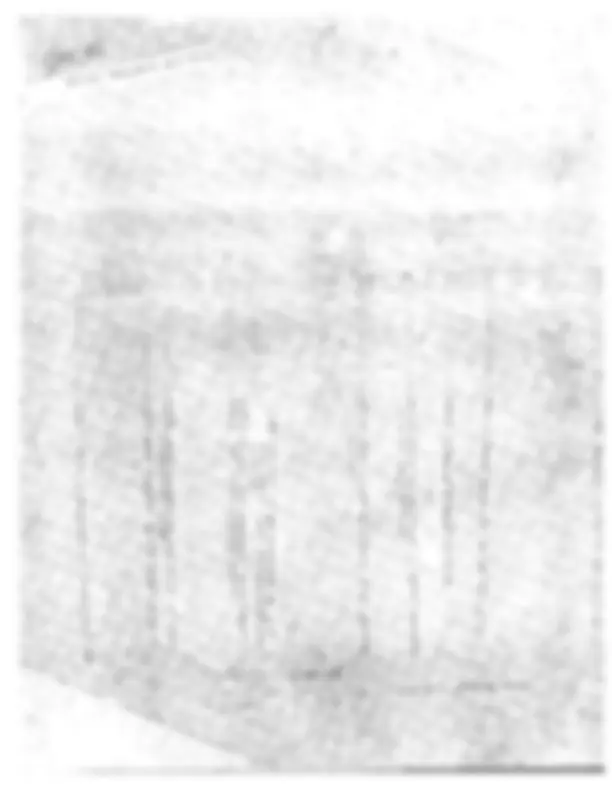pf41