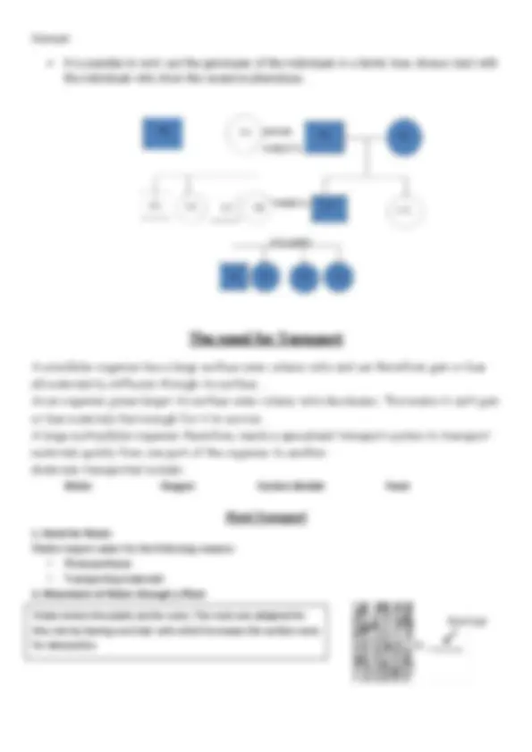 pf15