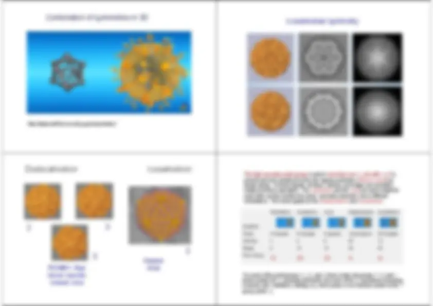pfe