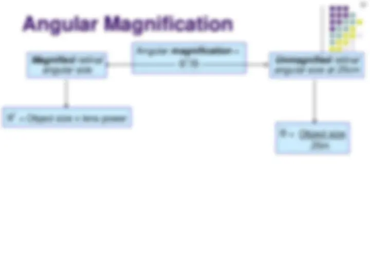 pf25