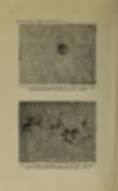 pf26