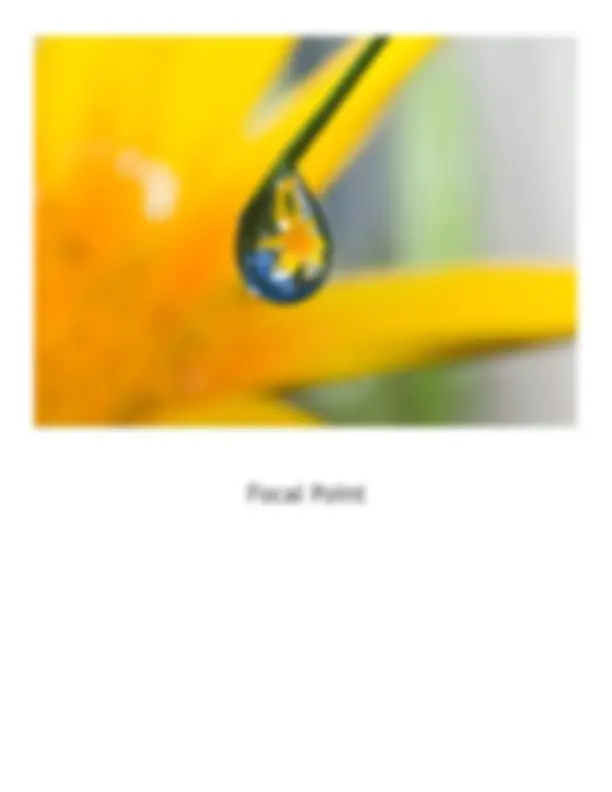 pf15