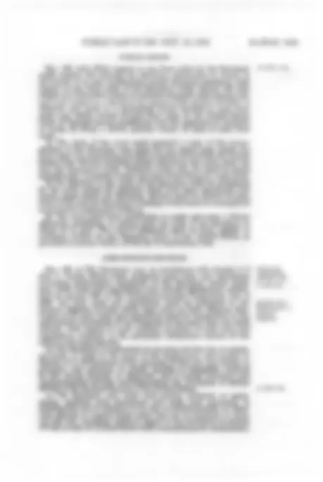 pf20