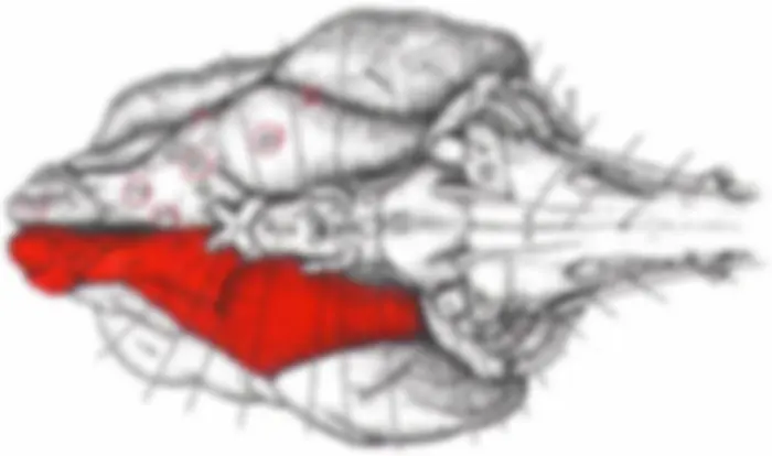 pf4
