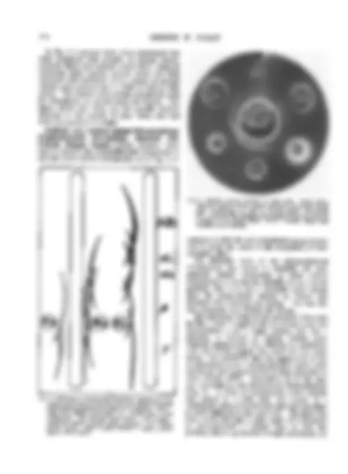 pf5