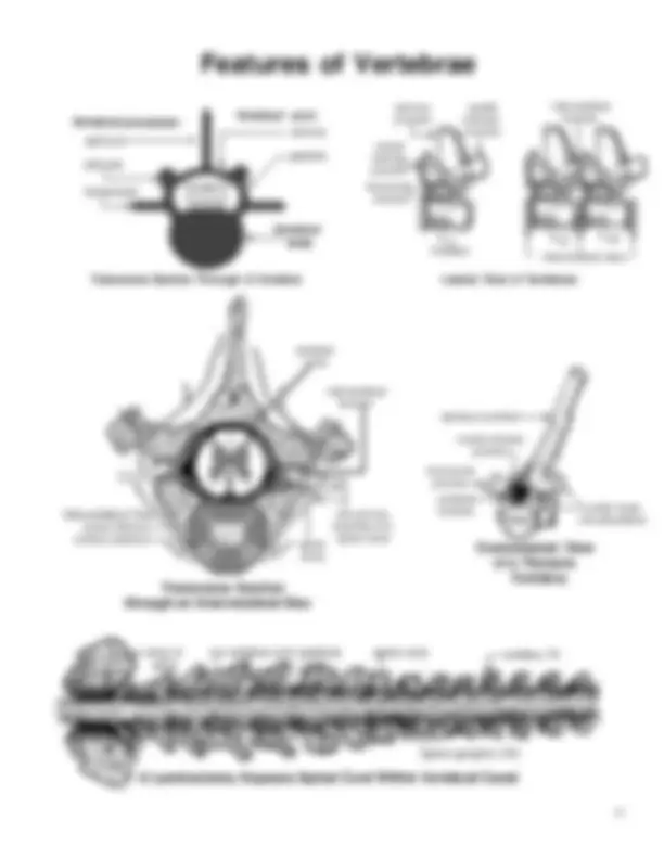 pf22