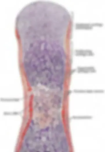 pf18