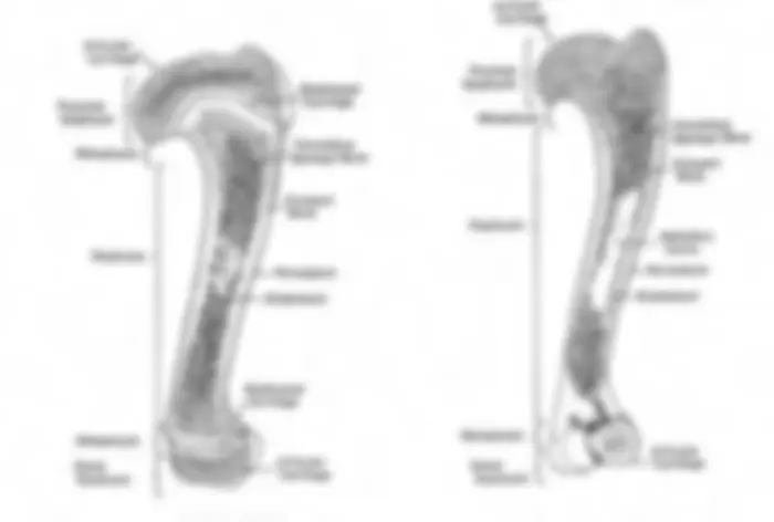 pf19