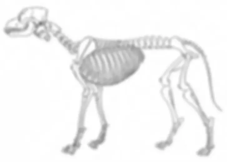 pf15