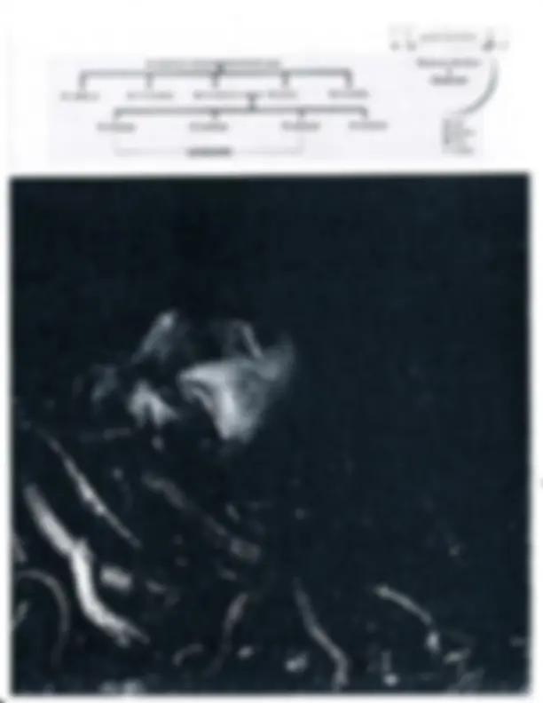 pf27