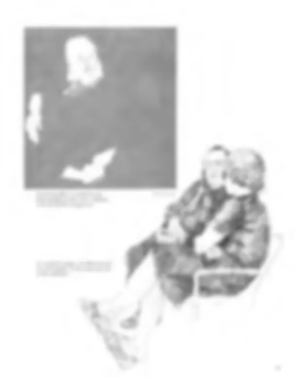 pf20