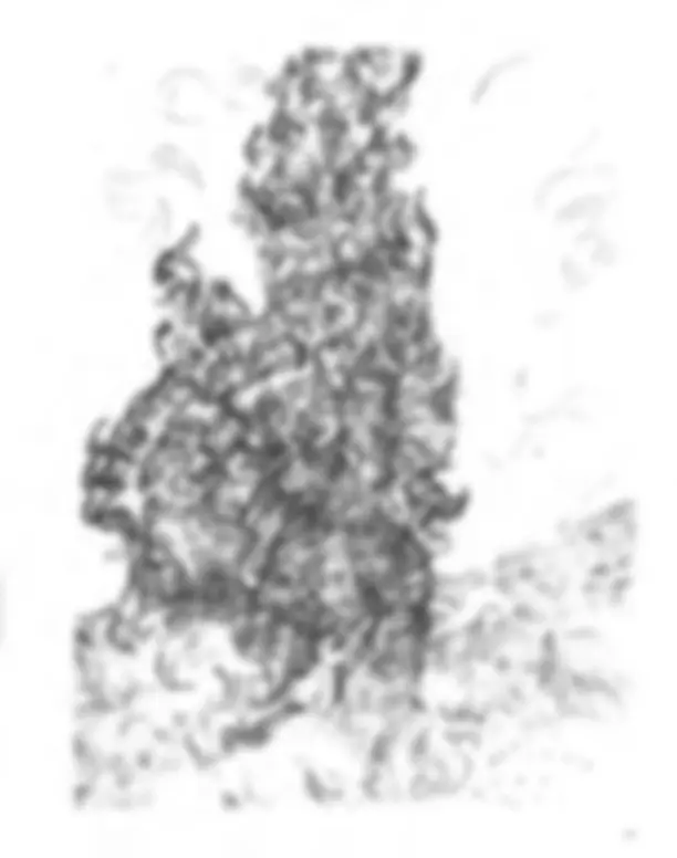 pf32