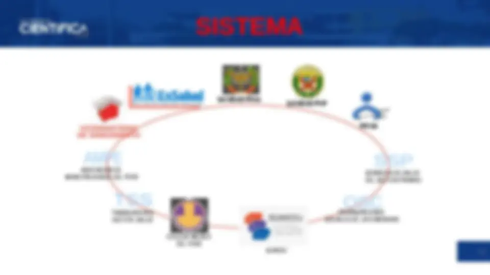 Organización del Sector Salud en Perú: Redes Integradas de Salud y ...