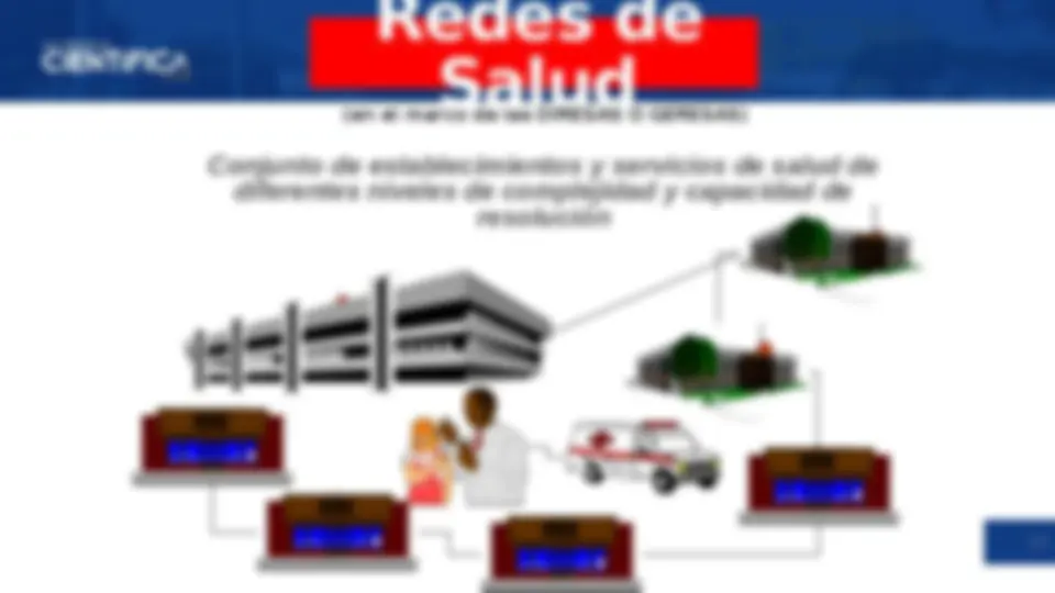 Organización del Sector Salud en Perú: Redes Integradas de Salud y ...