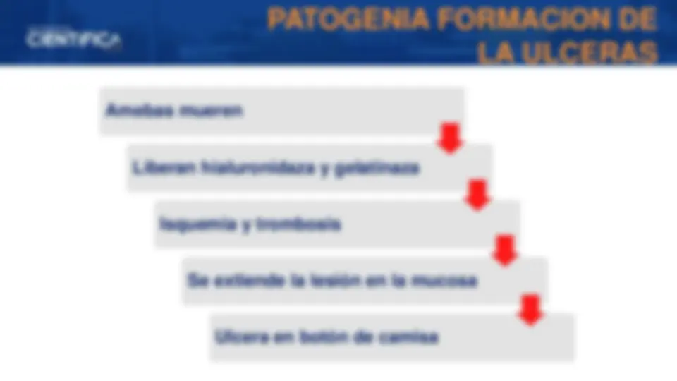 pf20
