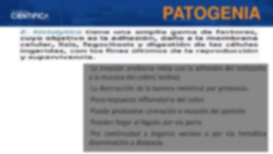pf13