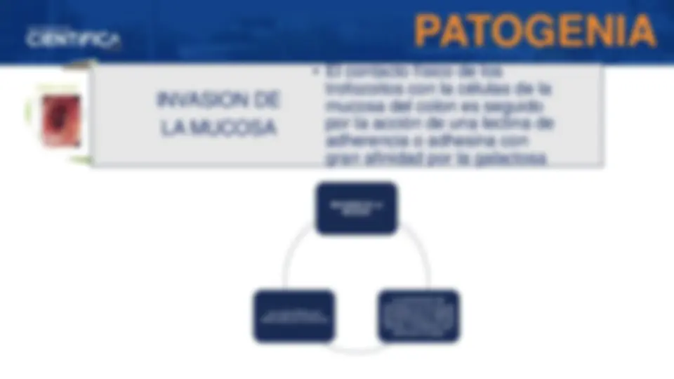 pf1d