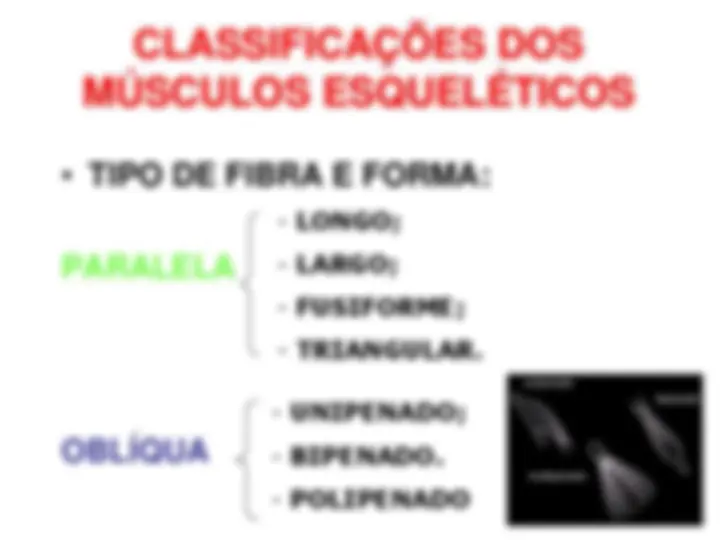 pf14