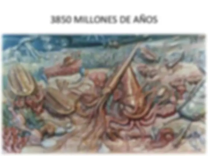 pf5