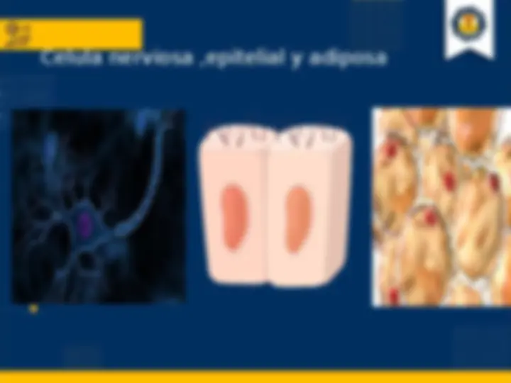 pff