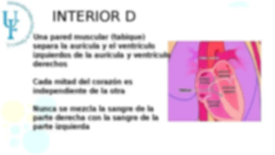 pf4