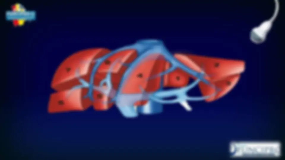 pf33