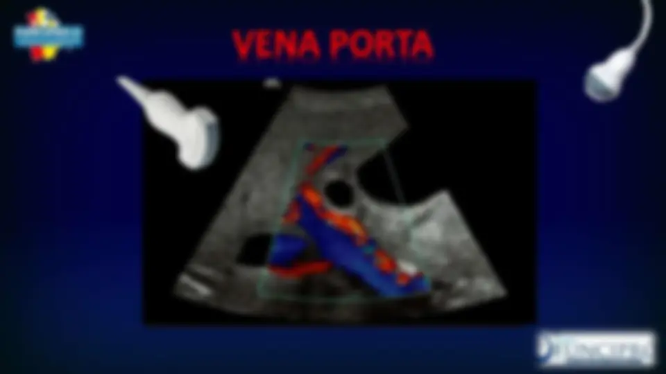 pf23