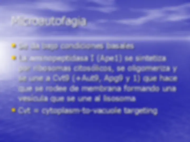 pfe