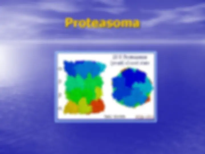 pf1d