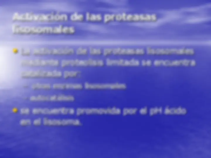 pf19