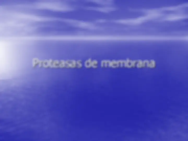 pf33