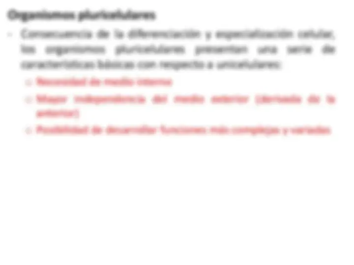 pf48