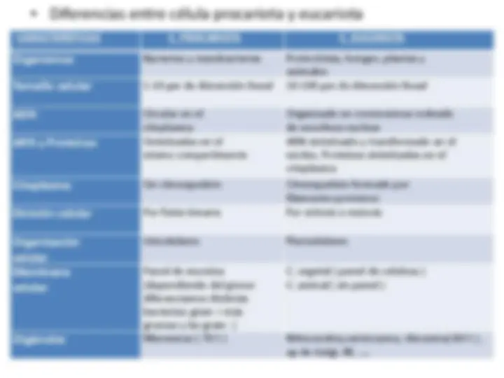 pf16