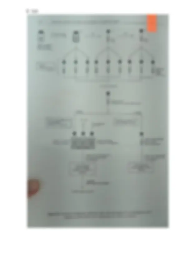 pf5