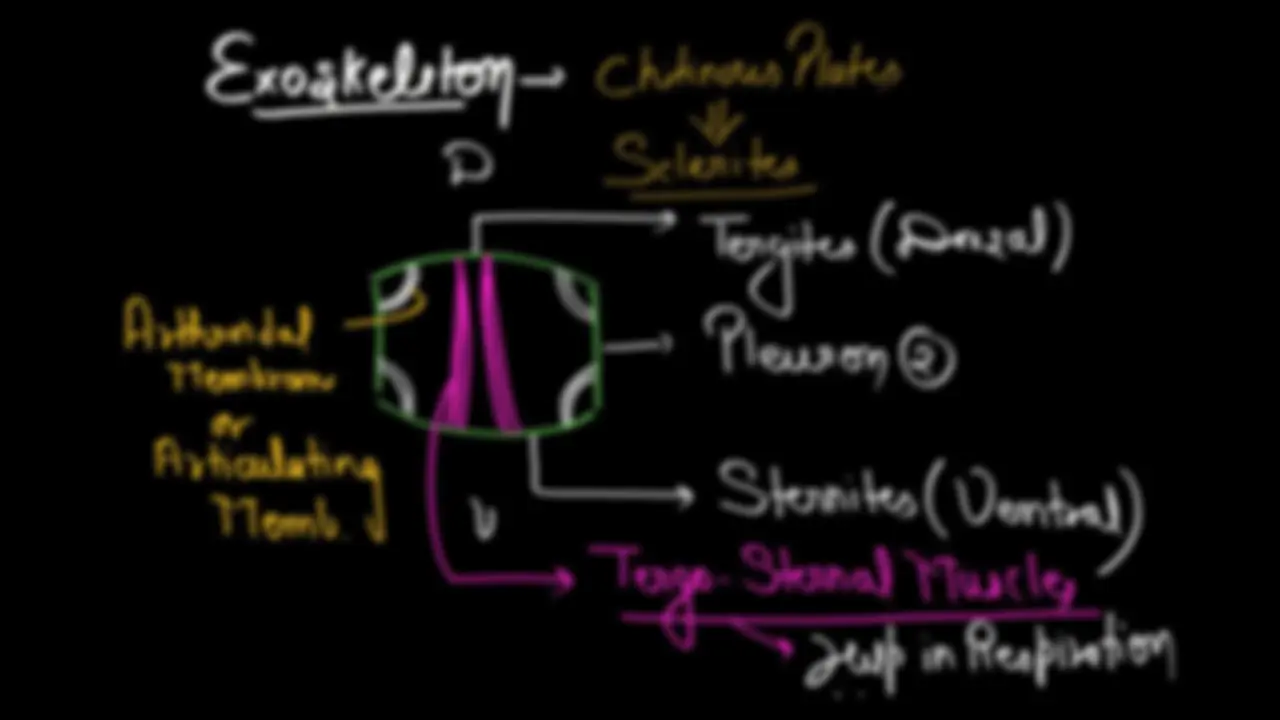 pf4
